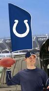 Indianapolis Colts Tailgate Flag