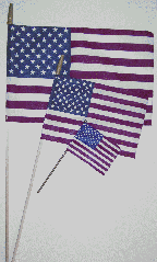 US Spearhead Stick Flag