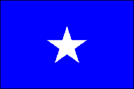 BONNIE BLUE 3 X 5 FLAG