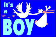 IT'S A BOY 3 X 5 FLAG
