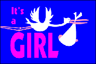 IT'S A GIRL 3 X 5 FLAG