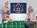 Auburn Party Kit