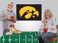 Iowa Hawkeyes Party Kit