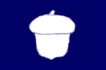 TREASURER 12 X 18 FLAG