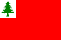 Continental Historical Flag